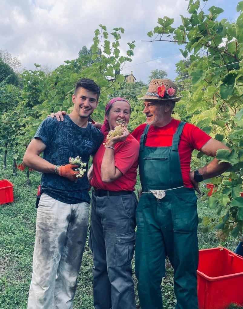 Agriturismo Le Noci Tarzo Zewnętrze zdjęcie