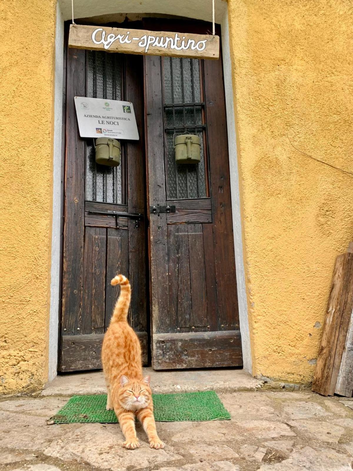 Agriturismo Le Noci Tarzo Zewnętrze zdjęcie